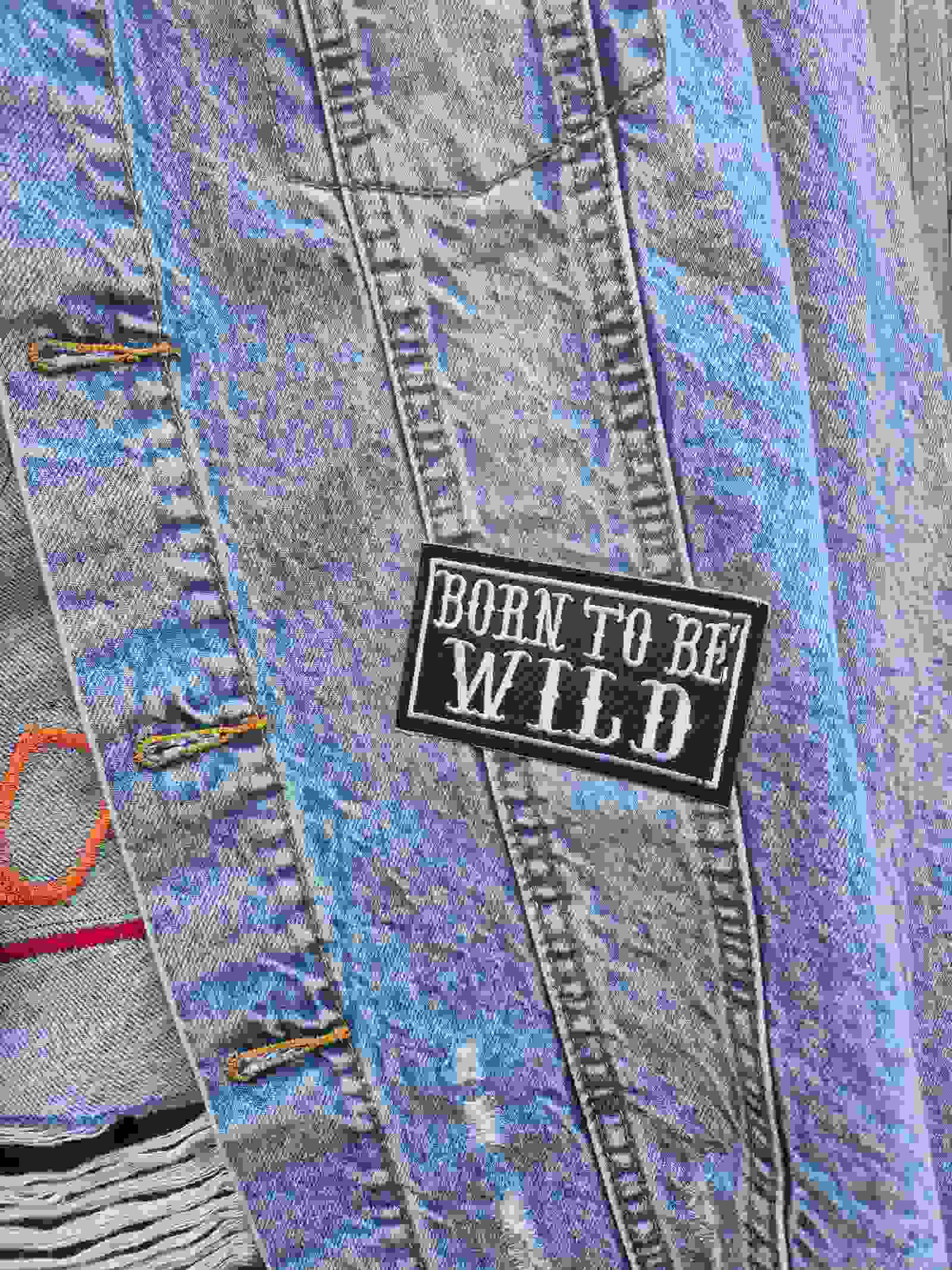 Wild Soul Denim Jacket – One of a Kind